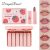 6 Pcs Dragon Ranee Matte Lipstick Set, Pack of 6